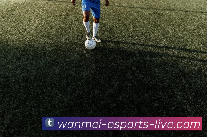 完美电竞直播平台生态图